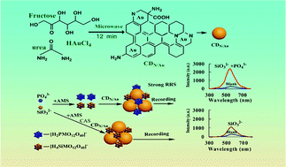 Graphical abstract: A novel N/Au co-doped carbon dot probe for continuous detection of silicate and phosphate by resonance Rayleigh scattering