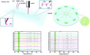 Graphical abstract: SERS monitoring of the Fenton degradation reaction based on microfluidic droplets and alginate microparticles