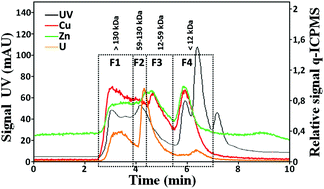 Graphical abstract: Isotopic variations of copper at the protein fraction level in neuronal human cells exposed in vitro to uranium