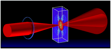 Graphical abstract: Unraveling the molecular dependence of femtosecond laser-induced thermal lens spectroscopy in fluids