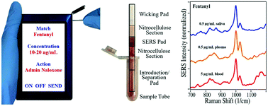 Graphical abstract: Detection of codeine and fentanyl in saliva, blood plasma and whole blood in 5-minutes using a SERS flow-separation strip