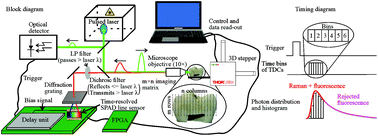 Graphical abstract: Chemical imaging of human teeth by a time-resolved Raman spectrometer based on a CMOS single-photon avalanche diode line sensor