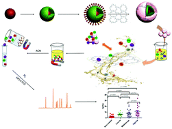 Graphical abstract: Facile preparation of a cationic COF functionalized magnetic nanoparticle and its use for the determination of nine hydroxylated polycyclic aromatic hydrocarbons in smokers’ urine
