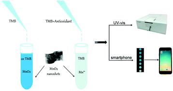 Graphical abstract: Smartphone-based colorimetric assay of antioxidants in red wine using oxidase-mimic MnO2 nanosheets