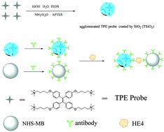 Graphical abstract: The use of aggregation-induced emission probe doped silica nanoparticles for the immunoassay of human epididymis protein 4