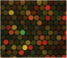 Graphical abstract: Epigenetic subtyping of white blood cells using a thermoplastic elastomer-based microfluidic emulsification device for multiplexed, methylation-specific digital droplet PCR