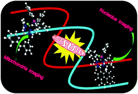 Graphical abstract: Mitochondria- and nucleolus-targeted copper(i) complexes with pyrazole-linked triphenylphosphine moieties for live cell imaging