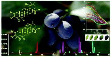 Graphical abstract: A HPLC-MS method for profiling triterpenoid acids and triterpenoid esters in Osmanthus fragrans fruits