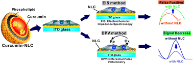 Graphical abstract: A fibronectin-coated gold nanostructure composite for electrochemical detection of effects of curcumin-carrying nanoliposomes on human stomach cancer cells