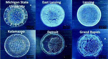 Graphical abstract: Tap water fingerprinting using a convolutional neural network built from images of the coffee-ring effect