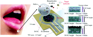 Graphical abstract: Sensitive and non-invasive cholesterol determination in saliva via optimization of enzyme loading and platinum nano-cluster composition