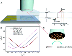 Graphical abstract: Non-invasive detection of glucose via a solution-gated graphene transistor