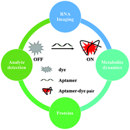 Graphical abstract: Progress in the isolation of aptamers to light-up the dyes and the applications