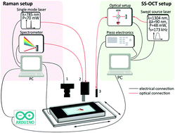 Graphical abstract: Morpho-molecular ex vivo detection and grading of non-muscle-invasive bladder cancer using forward imaging probe based multimodal optical coherence tomography and Raman spectroscopy