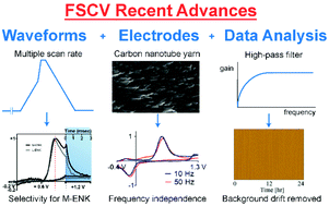 Graphical abstract: Recent advances in fast-scan cyclic voltammetry