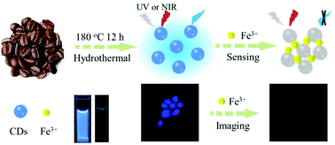 Graphical abstract: Green synthesis of up- and down-conversion photoluminescent carbon dots from coffee beans for Fe3+ detection and cell imaging