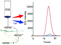 Graphical abstract: A high-sensitive sensor with HEPES-enhanced electrochemiluminescence of benzo[3]uril for Fe3+ and its application in human serum
