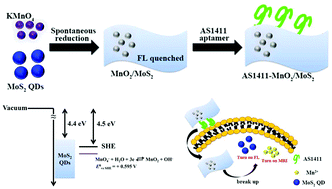 Graphical abstract: Spontaneous reduction of KMnO4 with MoS2 quantum dots for glutathione sensing in tumors