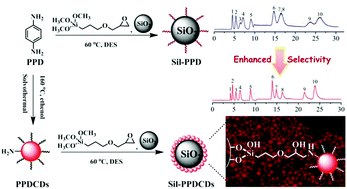 Graphical abstract: A phenylenediamine-based carbon dot-modified silica stationary phase for hydrophilic interaction chromatography
