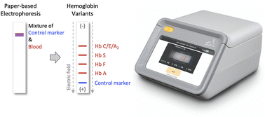 Graphical abstract: Paper-based microchip electrophoresis for point-of-care hemoglobin testing