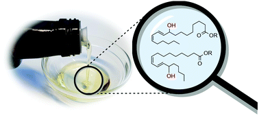 Graphical abstract: Investigating C [[double bond, length as m-dash]] C positions and hydroxylation sites in lipids using Paternò–Büchi functionalization mass spectrometry