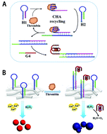 Graphical abstract: An enzyme-free and label-free visual sensing strategy for the detection of thrombin using a plasmonic nanoplatform