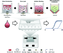 Graphical abstract: Integrated microsystems for the in situ genetic detection of dengue virus in whole blood using direct sample preparation and isothermal amplification