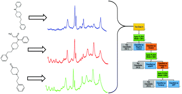 Graphical abstract: Detection and classification of fentanyl and its precursors by surface-enhanced Raman spectroscopy