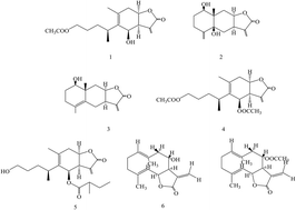 Graphical abstract: Identification and quantification of seven sesquiterpene lactones in Inula britannica by HPLC-DAD-MS