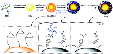 Graphical abstract: Dual functional monomer surface molecularly imprinted microspheres for polysaccharide recognition in aqueous solution