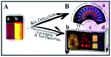 Graphical abstract: Facile synthesis of orange emissive carbon dots and their application for mercury ion detection and fast fingerprint development