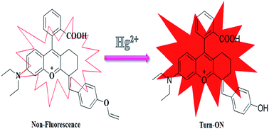 Graphical abstract: Near-infrared fluorogenic switches for the detection of Hg(ii) ions: applications in real samples and living cells