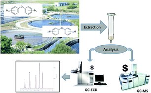 Graphical abstract: Quantification of polybrominated diphenyl ether (PBDE) congeners in wastewater by gas chromatography with electron capture detector (GC-ECD)