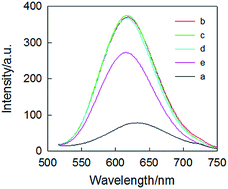 Graphical abstract: A nucleic acid cleavage-based fluorescent probe for the detection of copper ions in pure aqueous solution