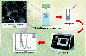 Graphical abstract: An amino-functionalized zirconium-based metal–organic framework/graphene oxide nanocomposite for 2,4-dichlorophenoxyacetic acid determination by ion mobility spectrometry