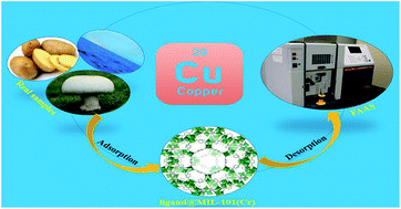 Graphical abstract: Novel Schiff base-functionalized metal–organic framework nanoparticles for dispersive solid phase extraction of copper ions from vegetable and water samples