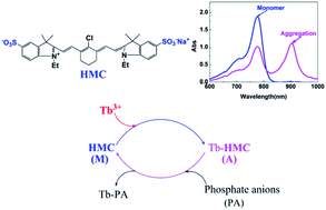 Graphical abstract: Determination of phosphate anions with a near-infrared heptamethine cyanine dye in a neutral aqueous solution