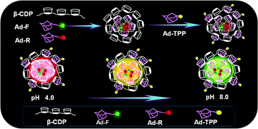 Graphical abstract: Mitochondria targeted self-assembled ratiometric fluorescent nanoprobes for pH imaging in living cells