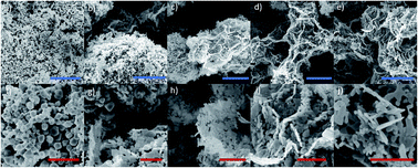 Graphical abstract: A sensitive enzyme-free lactic acid sensor based on NiO nanoparticles for practical applications