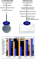 Graphical abstract: A novel molecular quantitative method for rapid and sensitive detection of Escherichia coli from roof-harvested rainwater