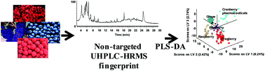 Graphical abstract: UHPLC-HRMS (orbitrap) fingerprinting in the classification and authentication of cranberry-based natural products and pharmaceuticals using multivariate calibration methods
