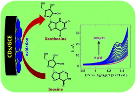 Graphical abstract: Non-enzymatic determination of purine nucleotides using a carbon dot modified glassy carbon electrode