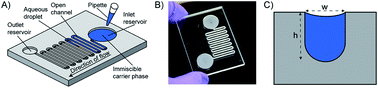 Graphical abstract: Droplet incubation and splitting in open microfluidic channels