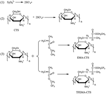 Graphical abstract: Evaluation of an alternative fluorinated chitosan as a QuEChERS adsorbent for pesticide residue analysis in apple samples