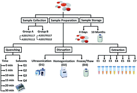Graphical abstract: Systematic optimization and evaluation of sample pretreatment methods for LC-MS-based metabolomics analysis of adherent mammalian cancer cells