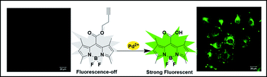 Graphical abstract: Homopropargyl as a new recognition moiety of a fluorescent probe for detection of palladium in living cells