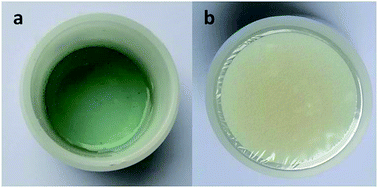 Graphical abstract: X-ray fluorescence determination of Ni, Ti and Nb in memory alloys using solution and thin film samples with an internal standard