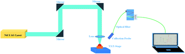 Graphical abstract: Accurate quantitative determination of heavy metals in oily soil by laser induced breakdown spectroscopy (LIBS) combined with interval partial least squares (IPLS)