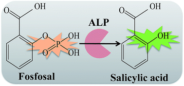 Graphical abstract: Ultrasensitive Raman sensing of alkaline phosphatase activity in serum based on an enzyme-catalyzed reaction