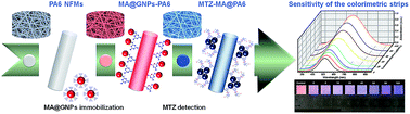 Graphical abstract: Non-enzymatic colorimetric sensor strip based on melamine-functionalized gold nanoparticles assembled on polyamide nanofiber membranes for the detection of metronidazole